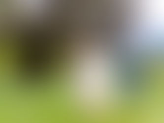 Isabelle und Alexander - Hochzeit im Restaurant Freinsheimer Hof