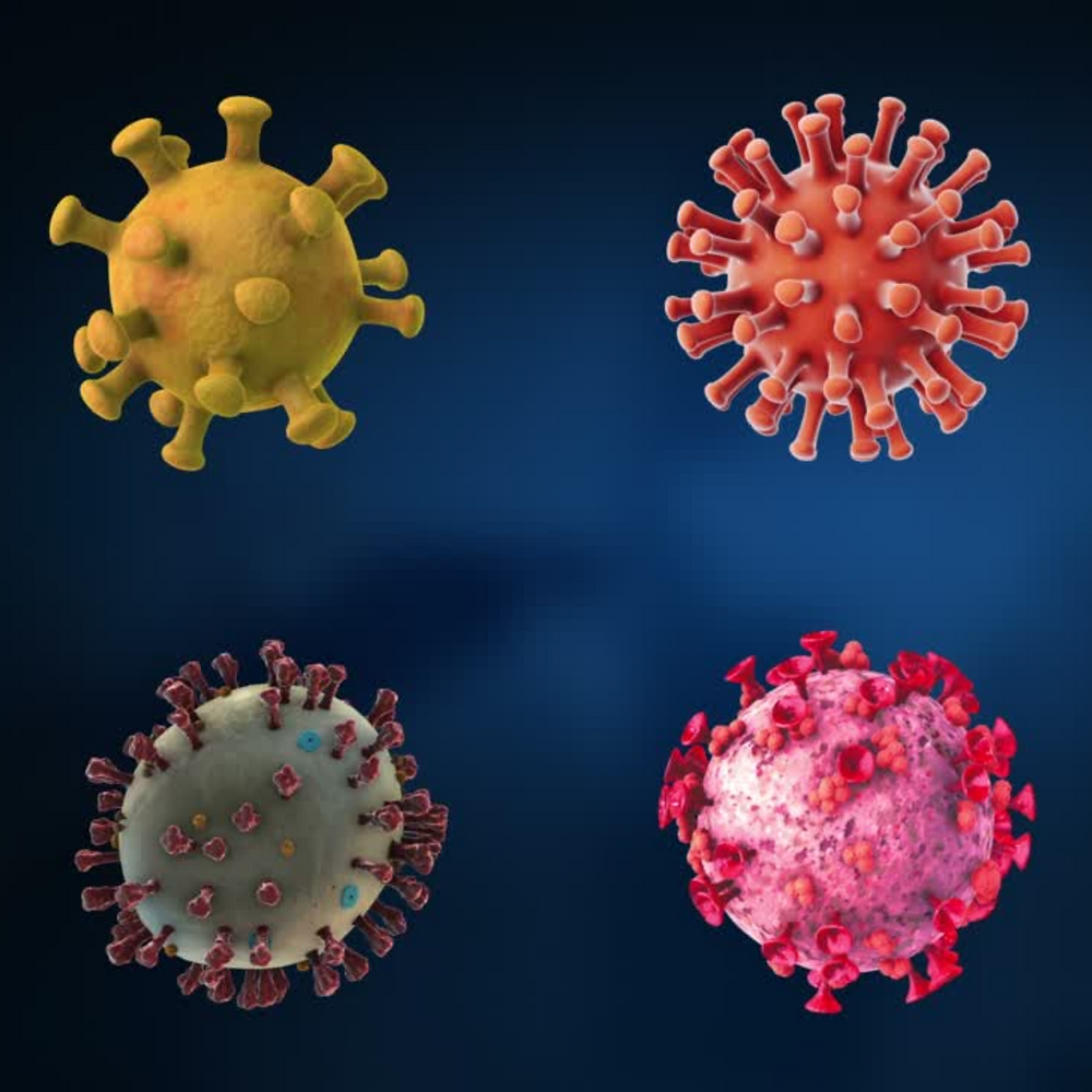 Virus Variation Understanding Variants