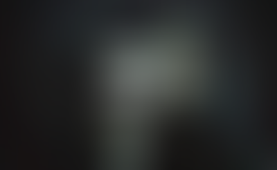 BASES DEL CONCURSO: EL PERFÍL MÁSCARA II: EN MÁSCARA II.