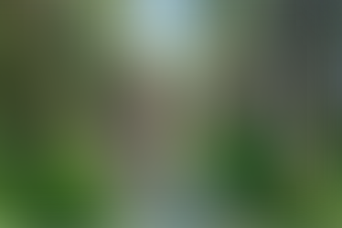 LEONALDY LAYA: SOMBRAS DEL TERROR.