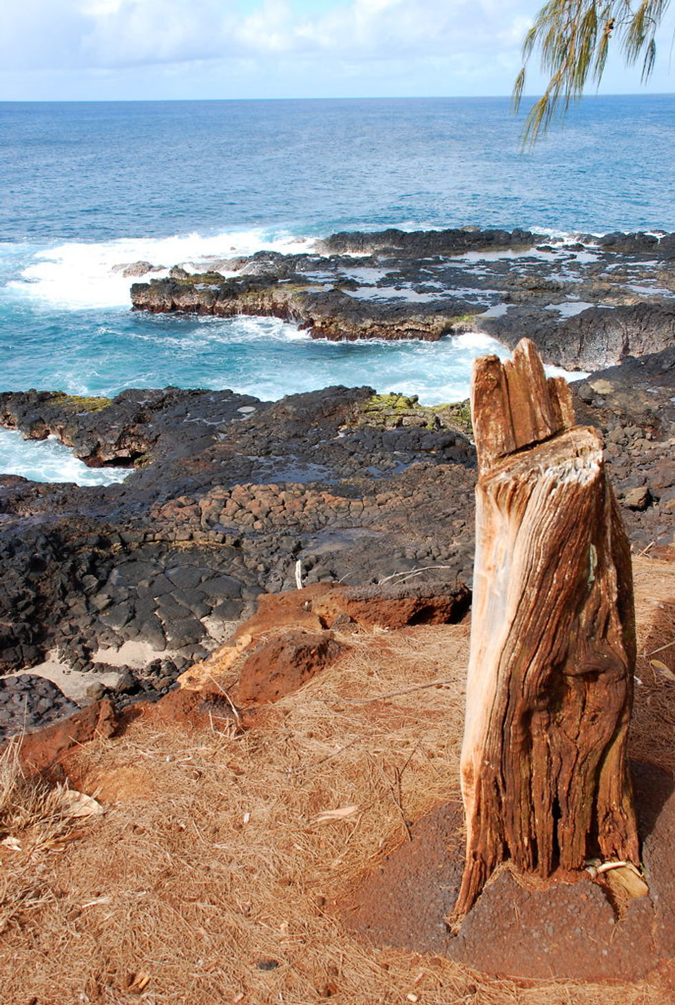 Edge of the beach