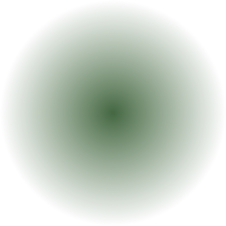 Ellipse 2.png