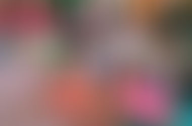 2025おゆうぎフォト①