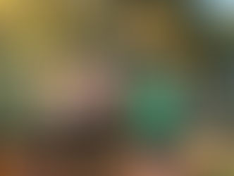 園だより（11月号）掲載しました