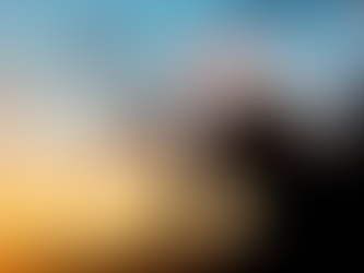 Sob os olhares atentos do Não