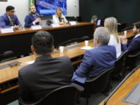 CCJ aprova inclusão de princípio da insignificância no Código Penal