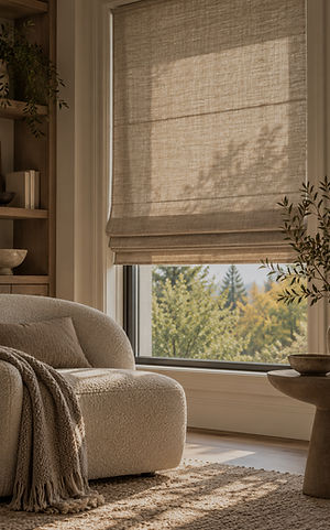 windowcover_edited.jpg
