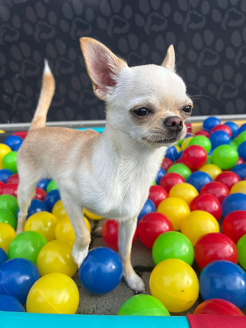 WhatsApp Image 2025-02-06 at 14.14.34.jpeg