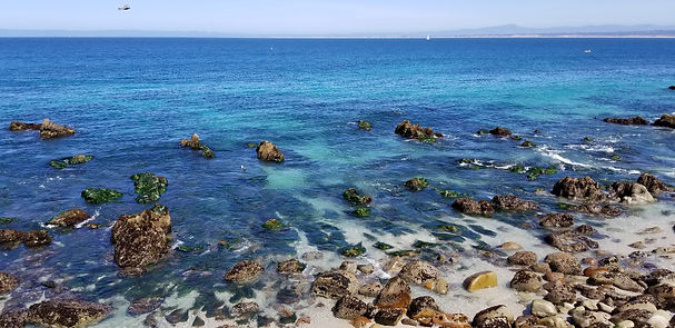 20190331_132045.jpg