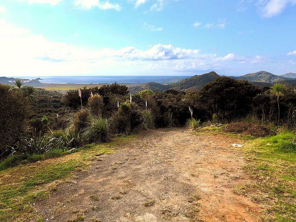 Top of private road at Soul Thing retreat, Great Barrier Island, New Zealand
