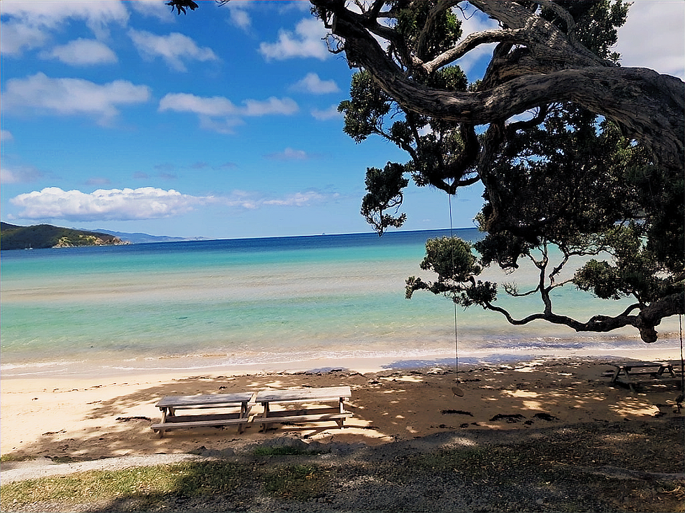 Memory Rock and picnic bench view over Medlands beach, Aotea/Great Barrier Island