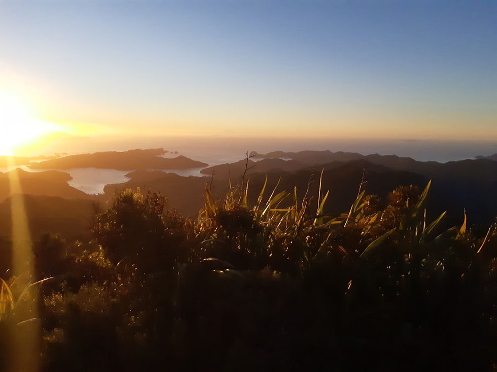 View from top of Mt Hobson, Aotea/Great Barrier Island
