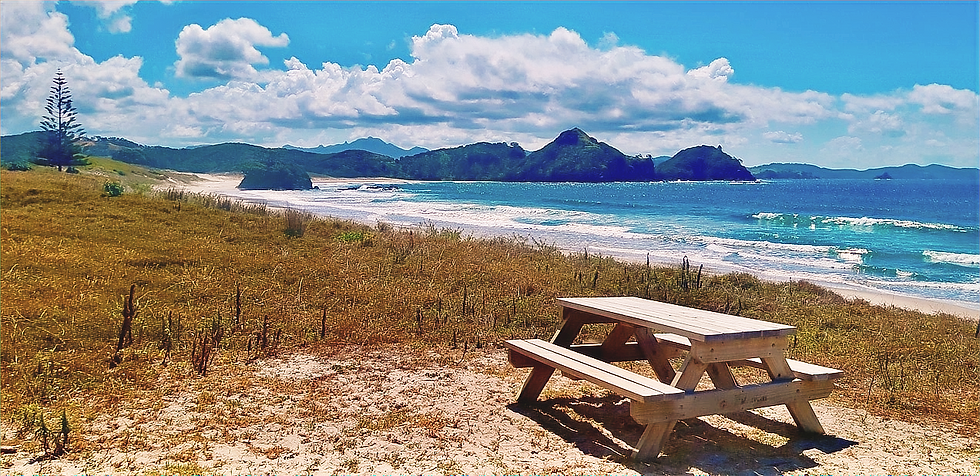 View of picnic bench across Medlands Beach towards Memory Rock, Great Barrier Island New Zealand
