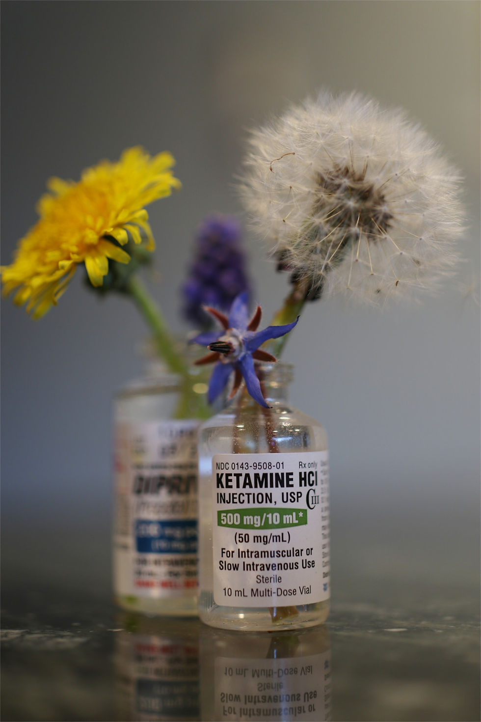 Ketamine HCl injection vial used as a vase for wildflowers, including a dandelion puff and yellow bloom, on a reflective surface.