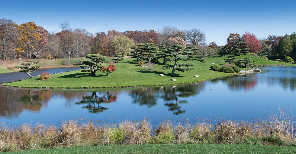 Japanese Garden