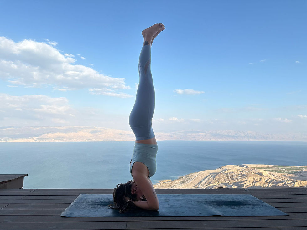 WhatsApp Image 2025-04-14 at 11.09.45 (2).jpeg