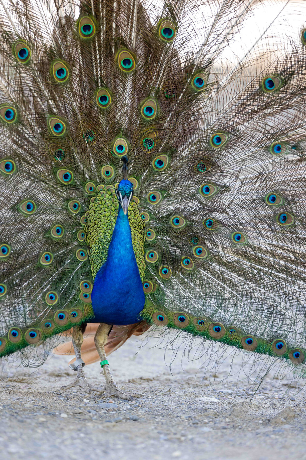 7C5A6052 Bild-YasmineBollmann