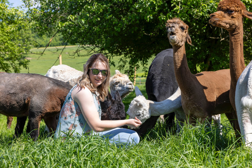 Tierphotography-alpaka-Yasmine-Bollmann-14