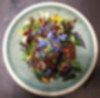 Nutrition Médecines Ancestrales