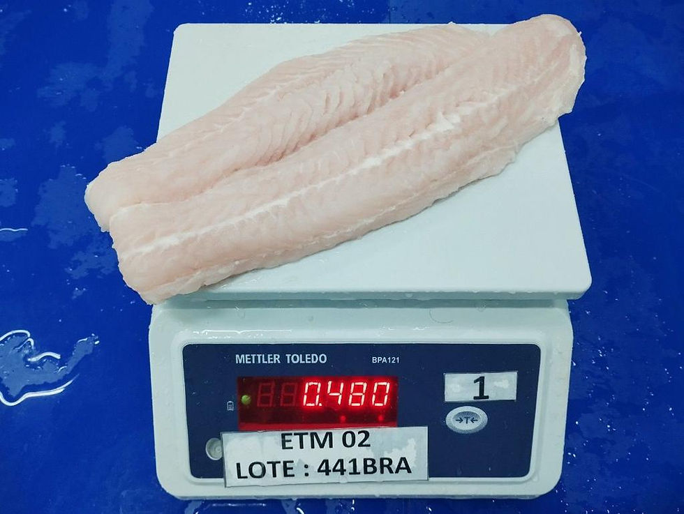 Miniatura: Filé de Pangasius Premium 300/UP Grs.