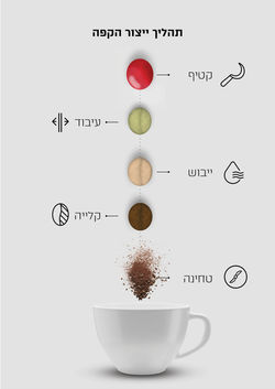 אינפוגרפיקה אורך.jpg