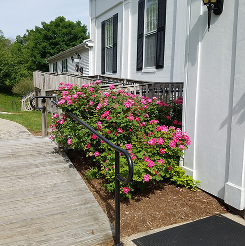 NMCC gardens - roses.jpg