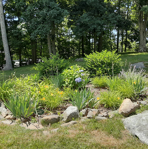 Garden-Betty-Gutt.jpg