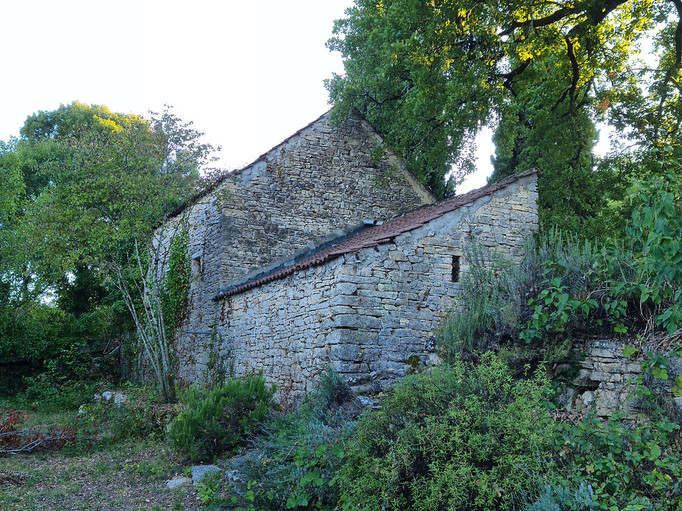 20200825_191842.jpg