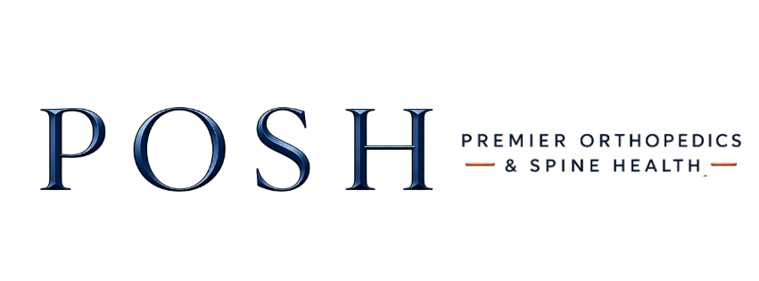 POSH Logo Brand