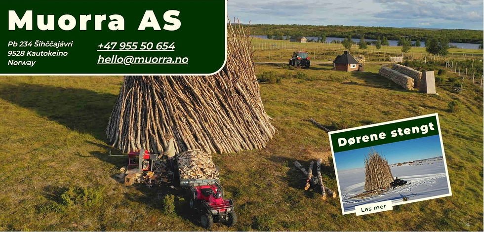 Bjørkeved med 4 hjuling i forgrunn. Ferskvann i bakgrunn. Finnmarksvidda.