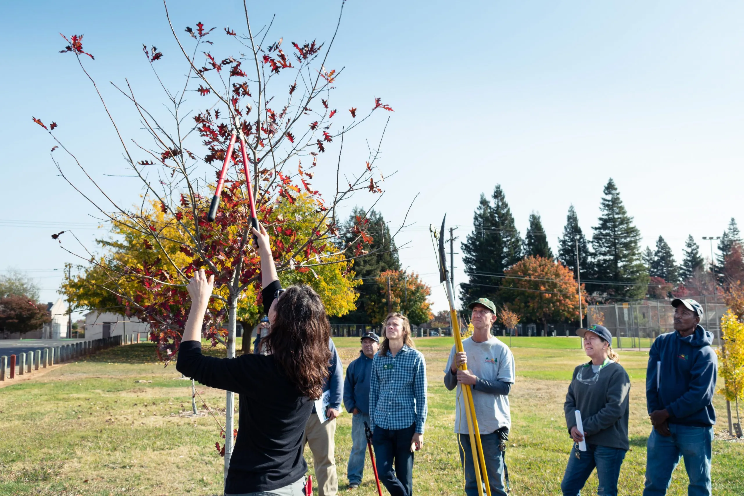 CRPD-Pruning-Workshop-11-scaled.jpg.webp