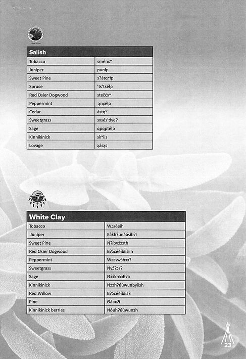 Scan 1.jpeg