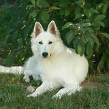 79363926_1369878663171901_26779705163162