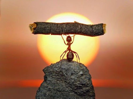 Có chuyện gì khiến bạn thấy yên bình giữa bầu trời giông tố ngoài kia không?