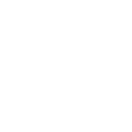 Icono - Blanco 3.gif