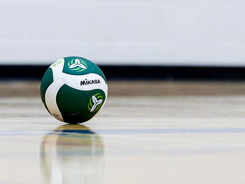 Mikasa Vball Green.jpeg