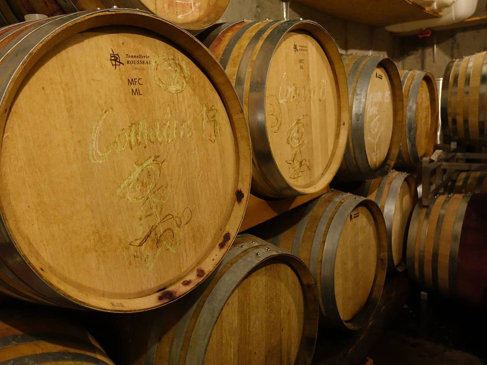 Les barriques en chêne français