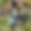 Thumbnail: Bird bath sculpture