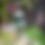 Thumbnail: Bird bath sculpture
