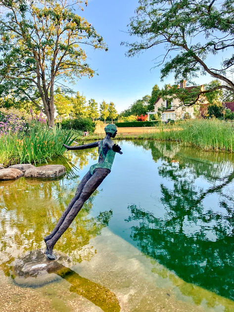 natural swimming pool.
swimming pool design
swimming statue