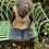 Thumbnail: large seated girl sculpture reading 