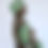 Thumbnail: Embrace