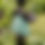 Thumbnail: Bird bath sculpture