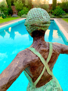 Diving into the ocean of life III