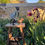 Thumbnail: A wee bit of an adventure ~ bronze metal