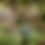 Thumbnail: Bird bath sculpture