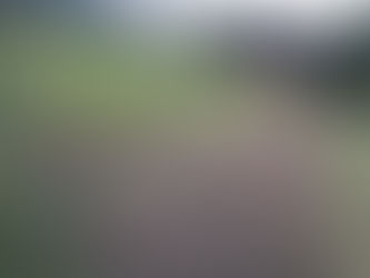 Den Gemüsegarten vorbereiten / neu anlegen