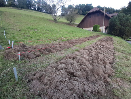 Den Gemüsegarten vorbereiten / neu anlegen