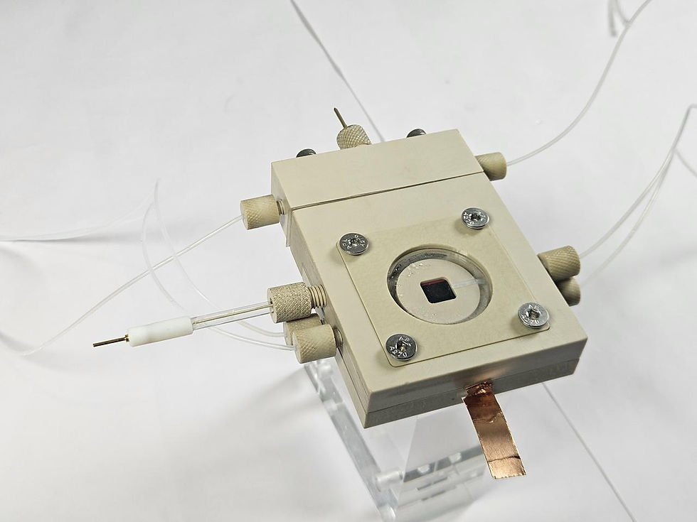 Thumbnail: In Situ Raman Electrochemical Cell for Operando Raman Spectroscopy