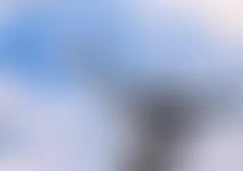 Un américain à Paris